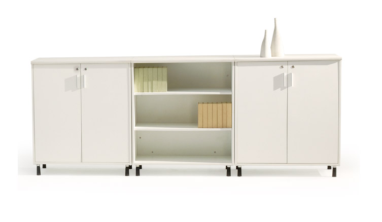 行政辦公置物柜Z02 行政辦公置物柜Z02